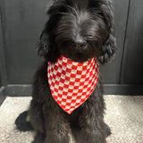 Kid's checkered wild rag - red white